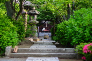 このご時世に鎌倉のお寺で【結婚式】がおすすめな理由